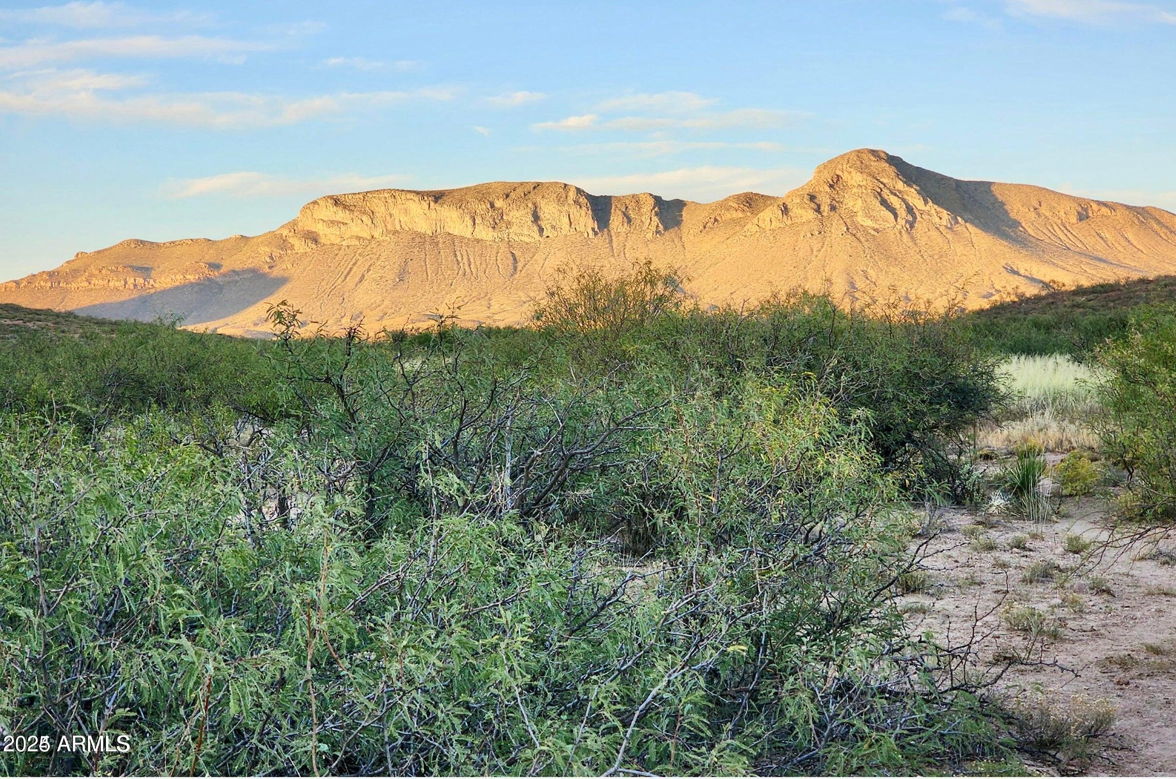 Tbd North Morning Star Trail Douglas, AZ 85607 - Photo 4 of 36 a view of a mountain
