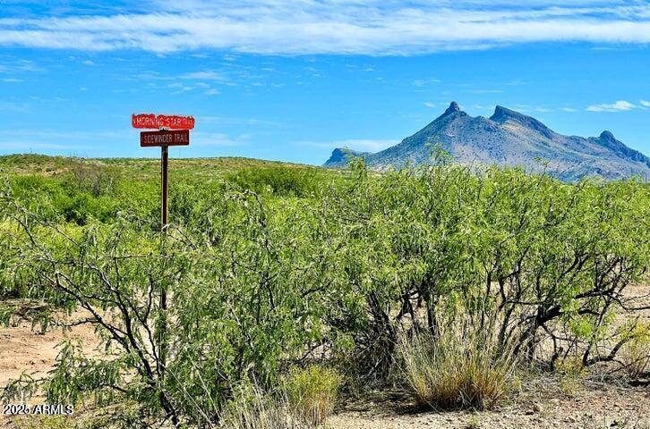 Tbd North Morning Star Trail Douglas, AZ 85607 - Photo 6 of 36 a view of a bench in front of a yard