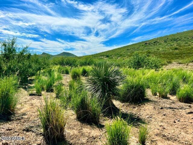 Tbd North Morning Star Trail Douglas, AZ 85607 - Photo 7 of 36 a view of a yard with plants and wooden fence
