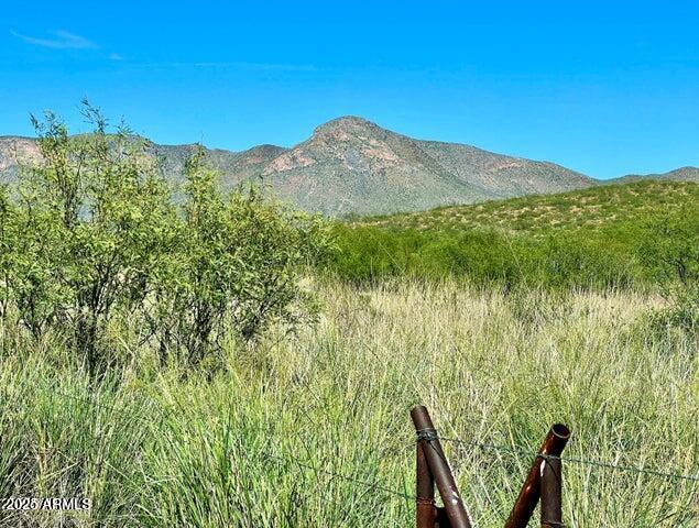 Tbd North Morning Star Trail Douglas, AZ 85607 - Photo 8 of 36 a view of a lush green field with a mountain in the background