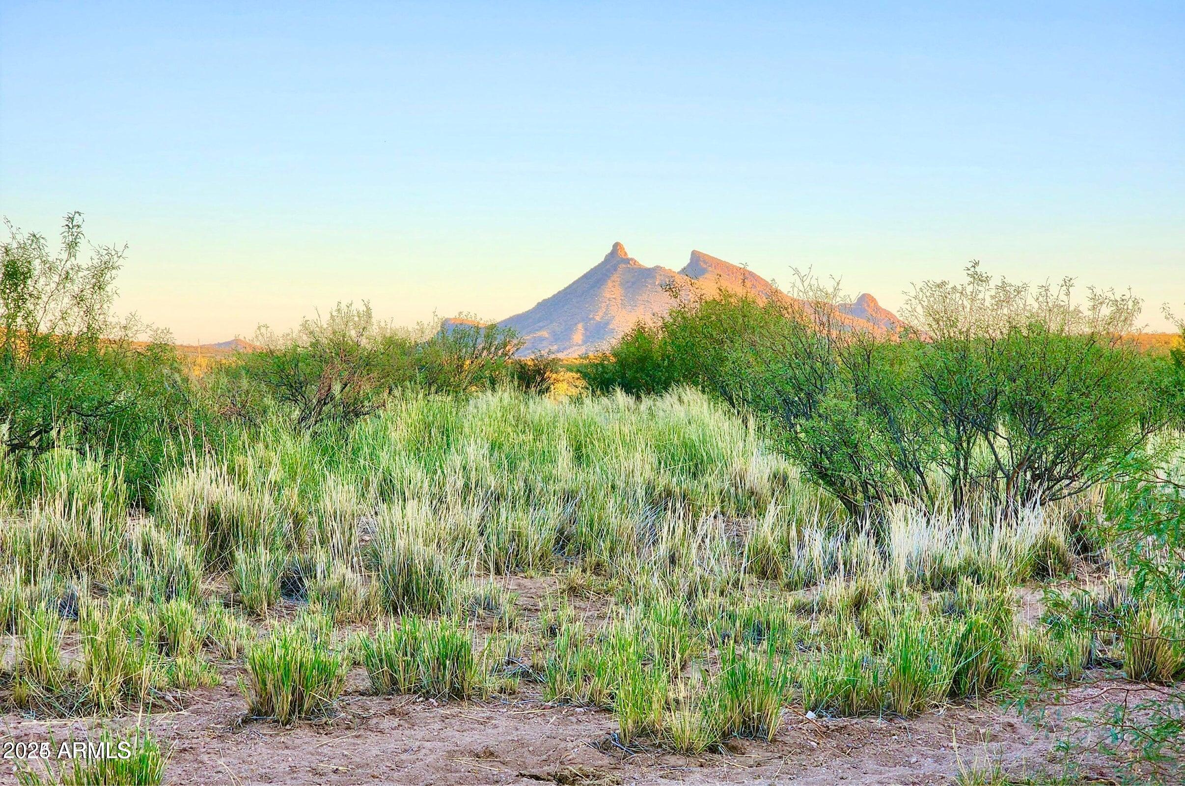 Tbd North Morning Star Trail Douglas, AZ 85607 - Photo 9 of 36 a view of a lush green space with sea