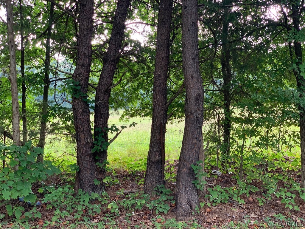 10.3 Stoney Point Road Cumberland, VA 23040 - Photo 11 of 13 Gallery Image 11