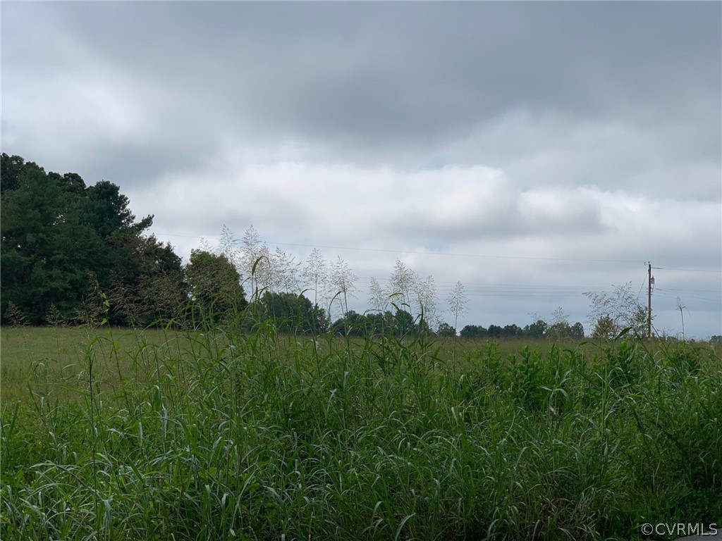 10.3 Stoney Point Road Cumberland, VA 23040 - Photo 4 of 13 Gallery Image 4