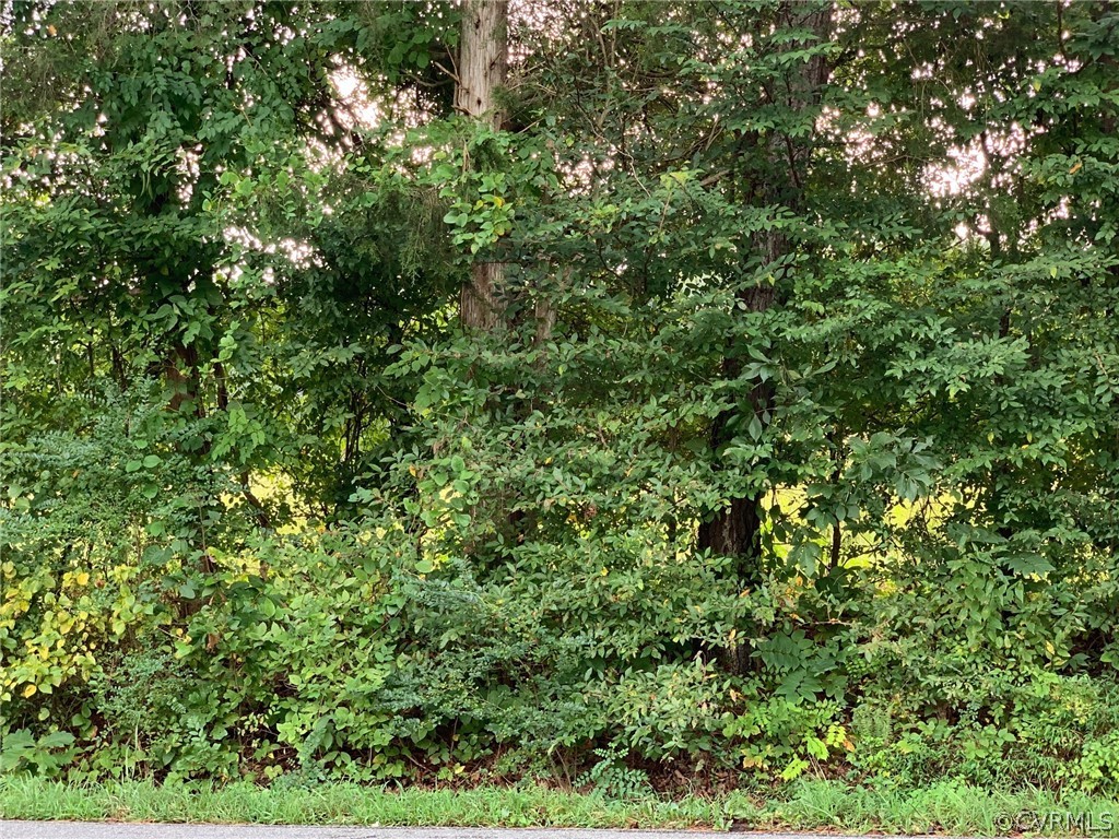 10.3 Stoney Point Road Cumberland, VA 23040 - Photo 6 of 13 Gallery Image 6
