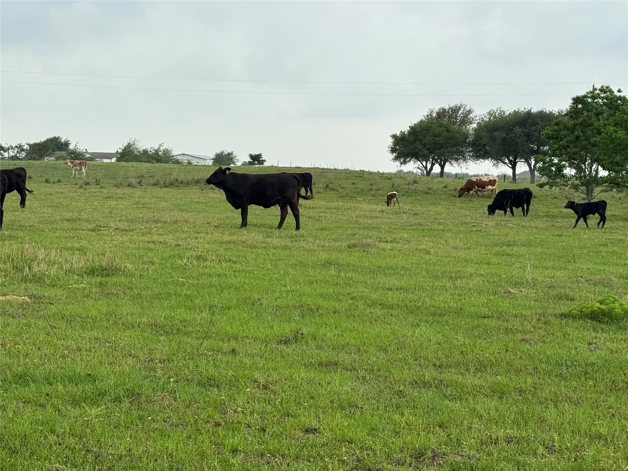 5848 Mieth Road Sealy, TX 77474 - Photo 14 of 25