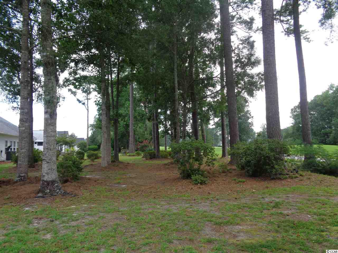 1487 Medinah Lane Murrells Inlet, SC 29576 - Photo 23 of 25 Gallery Image 23