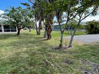 310 West Henry Street Punta Gorda, FL 33950 - Photo 11 of 24 a view of a tree in a yard