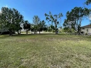 a view of a field with trees in the background