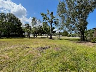 310 West Henry Street Punta Gorda, FL 33950 - Photo 17 of 24 a view of field with trees