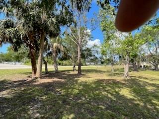 310 West Henry Street Punta Gorda, FL 33950 - Photo 18 of 24 a view of lake with trees