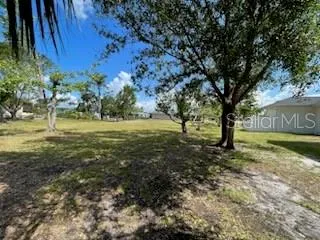 a view of a yard with a tree