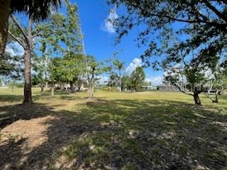310 West Henry Street Punta Gorda, FL 33950 - Photo 21 of 24 a view of outdoor space with trees all around