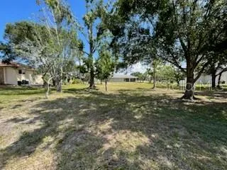 a view of outdoor space with trees all around