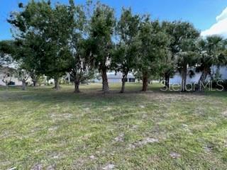310 West Henry Street Punta Gorda, FL 33950 - Photo 5 of 24 a view of outdoor space with deck and trees