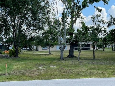 310 West Henry Street Punta Gorda, FL 33950 - Photo 6 of 24 a view of a trees in a yard