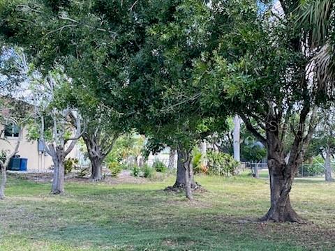 310 West Henry Street Punta Gorda, FL 33950 - Photo 8 of 24 a view of a trees in a yard