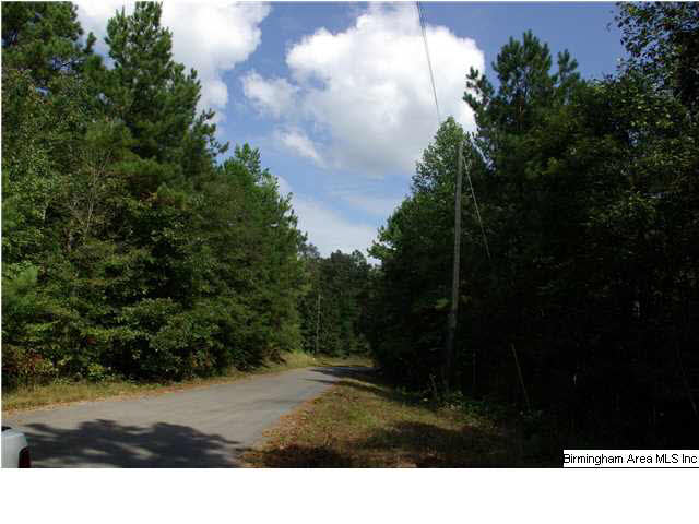 Turkey Ridge, Unit 11 Ragland, AL 35131 - Photo 20 of 31