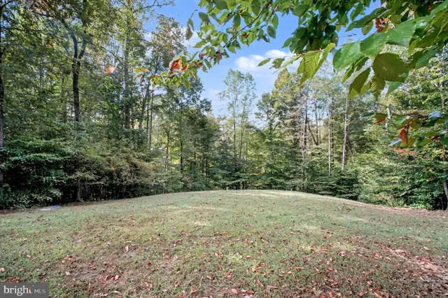 a view of an outdoor space and a yard