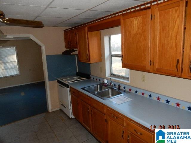 5056 Jim Goggans Road Dora, AL 35062 - Photo 5 of 15