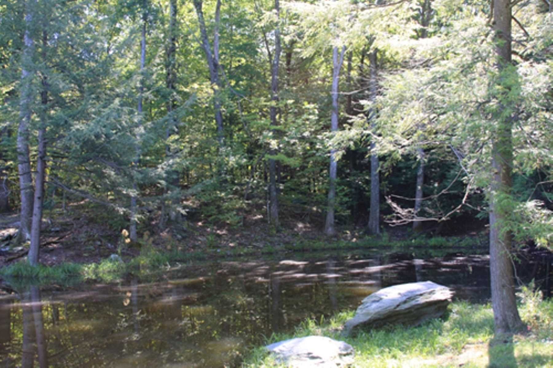 10 Overbrook Road Dover Plains, NY 12522 - Photo 3 of 10 a backyard of a house with lots of green space