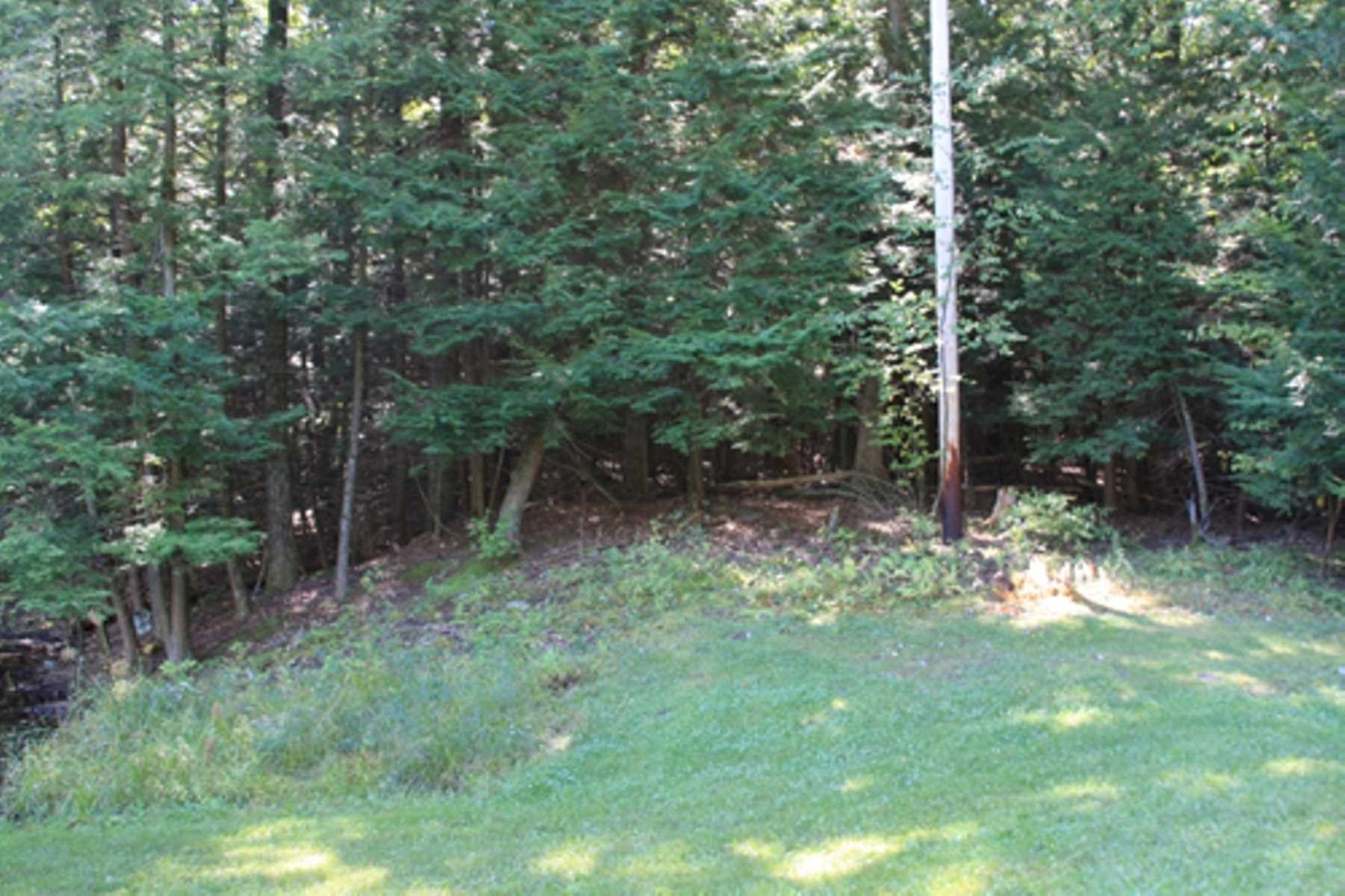 10 Overbrook Road Dover Plains, NY 12522 - Photo 4 of 10 a big yard with lots of green space and trees