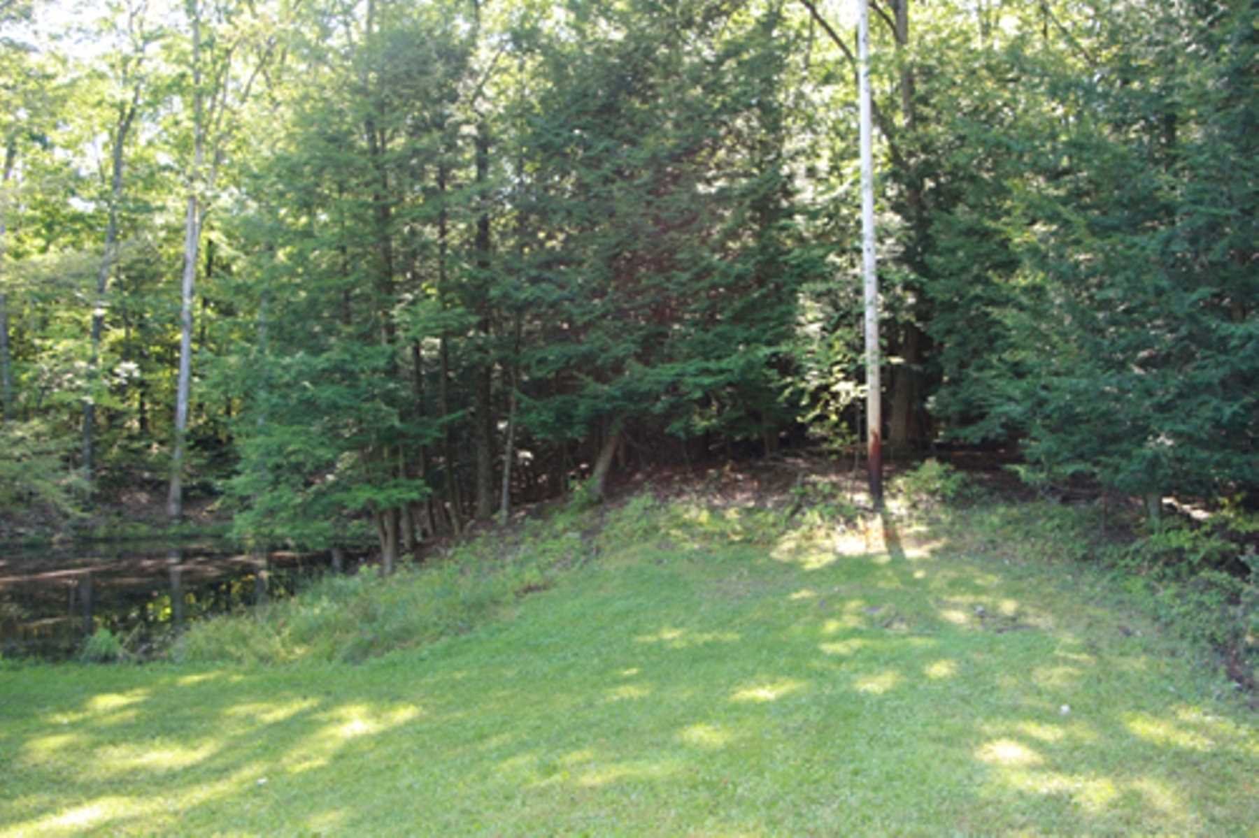 10 Overbrook Road Dover Plains, NY 12522 - Photo 6 of 10 a backyard of a house with lots of green space