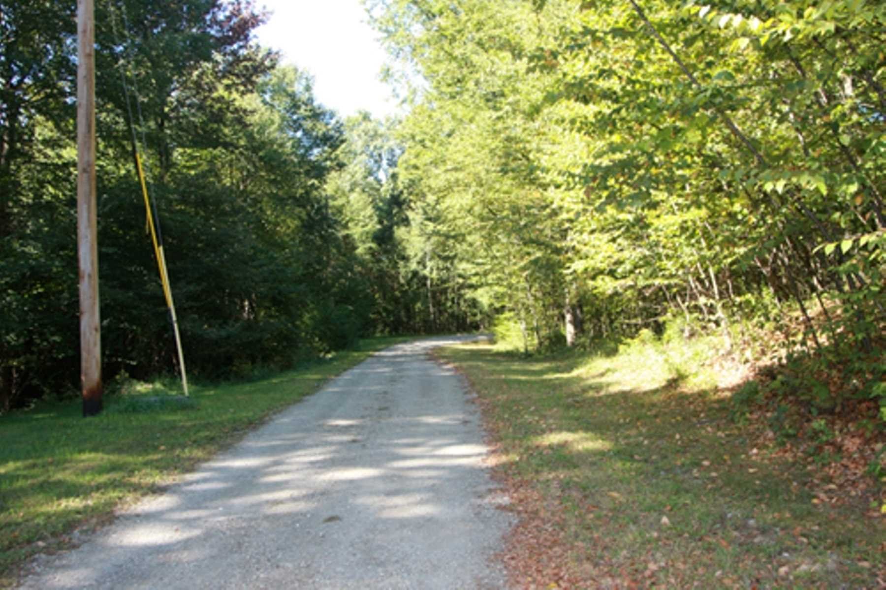 10 Overbrook Road Dover Plains, NY 12522 - Photo 8 of 10 a view of a yard with plants and large trees