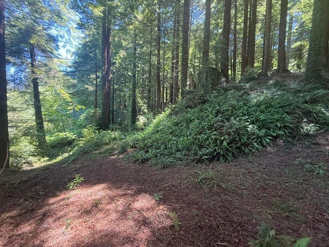 0 Spears Road Eureka, CA 95503 - Photo 3 of 17 Gallery Image 3