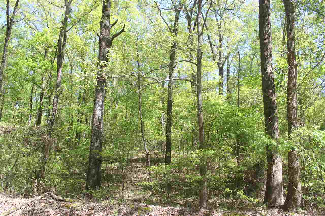 5 Hogan Road Lamar, MS 38642 - Photo 22 of 25 Gallery Image 22