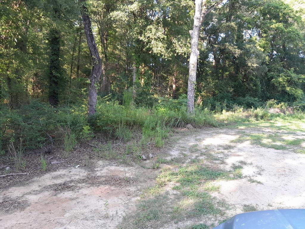 0 Thomas Walters Road Pineville, SC 29468 - Photo 1 of 3