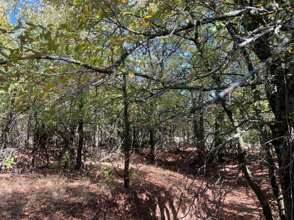 Tbd Uselton Road Loving, TX 76460 - Photo 3 of 26