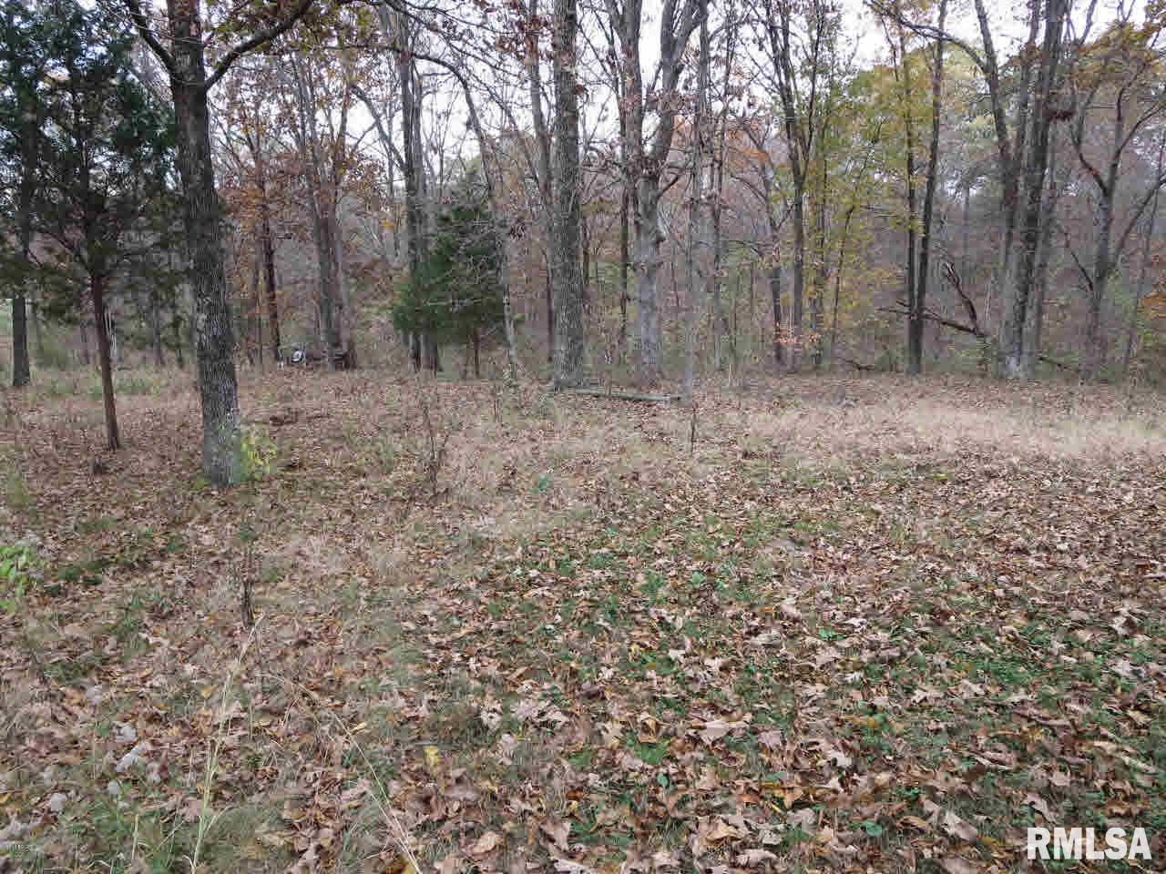 23674 Meadowlark Road Carrier Mills, IL 62917 - Photo 54 of 69 Gallery Image 54