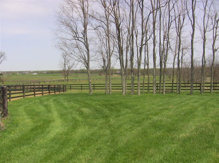 0 Paynes Depot Road Lexington, KY 40511 - Photo 8 of 29 Photo 8