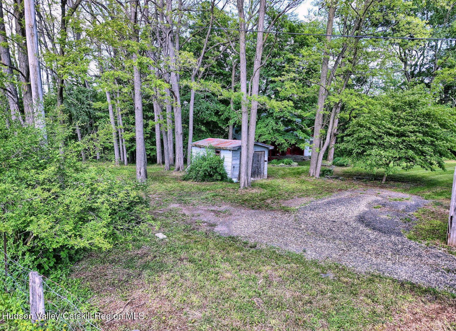360 Stone Bridge Rd Extension East Durham, NY 12423 - Photo 66 of 83 a view of a garden with large trees