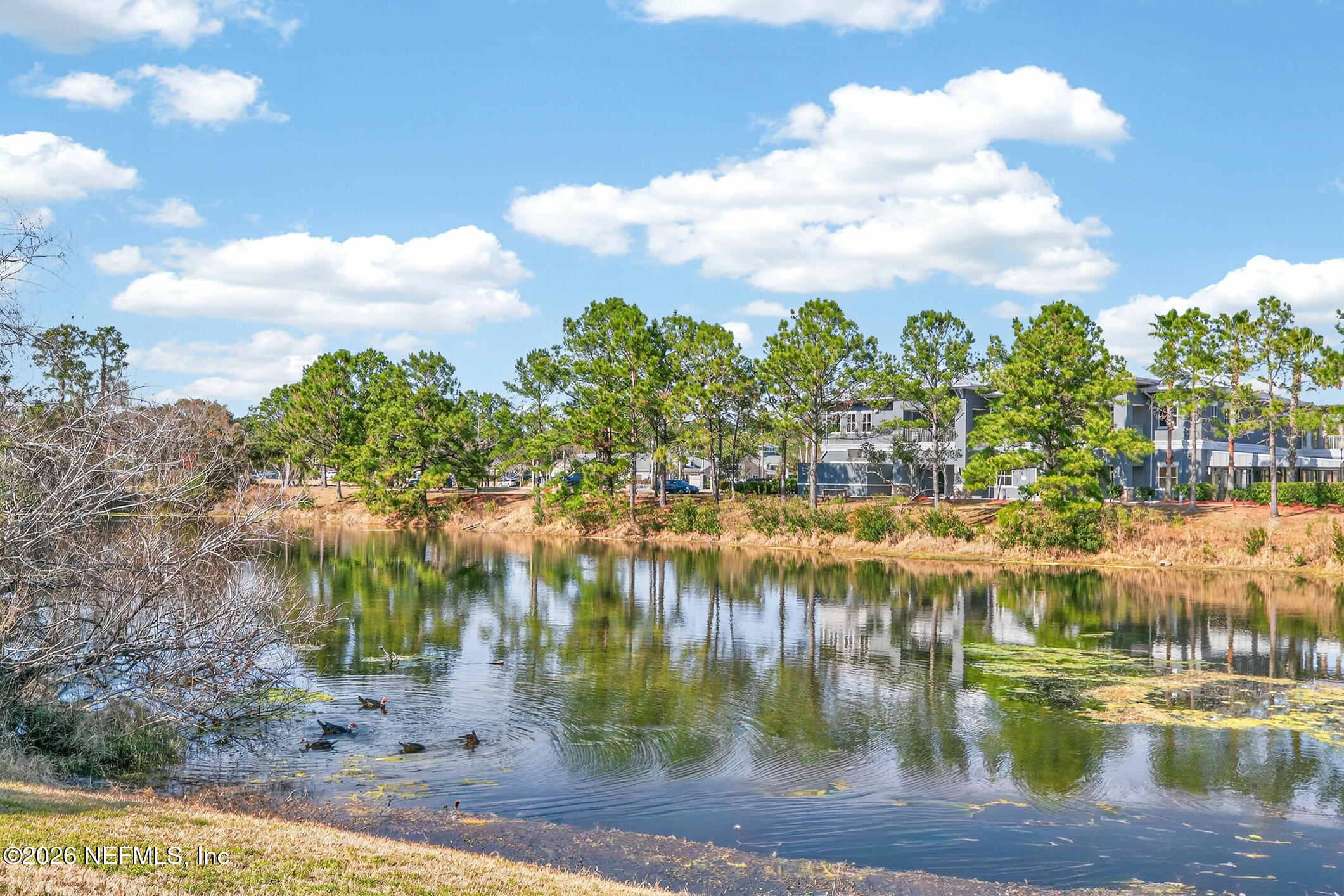 1500 Calming Water Drive, Unit 4603 Fleming Island, FL 32003 - Photo 48 of 98 1500 Calming Water Dr Unit 4603 (46)