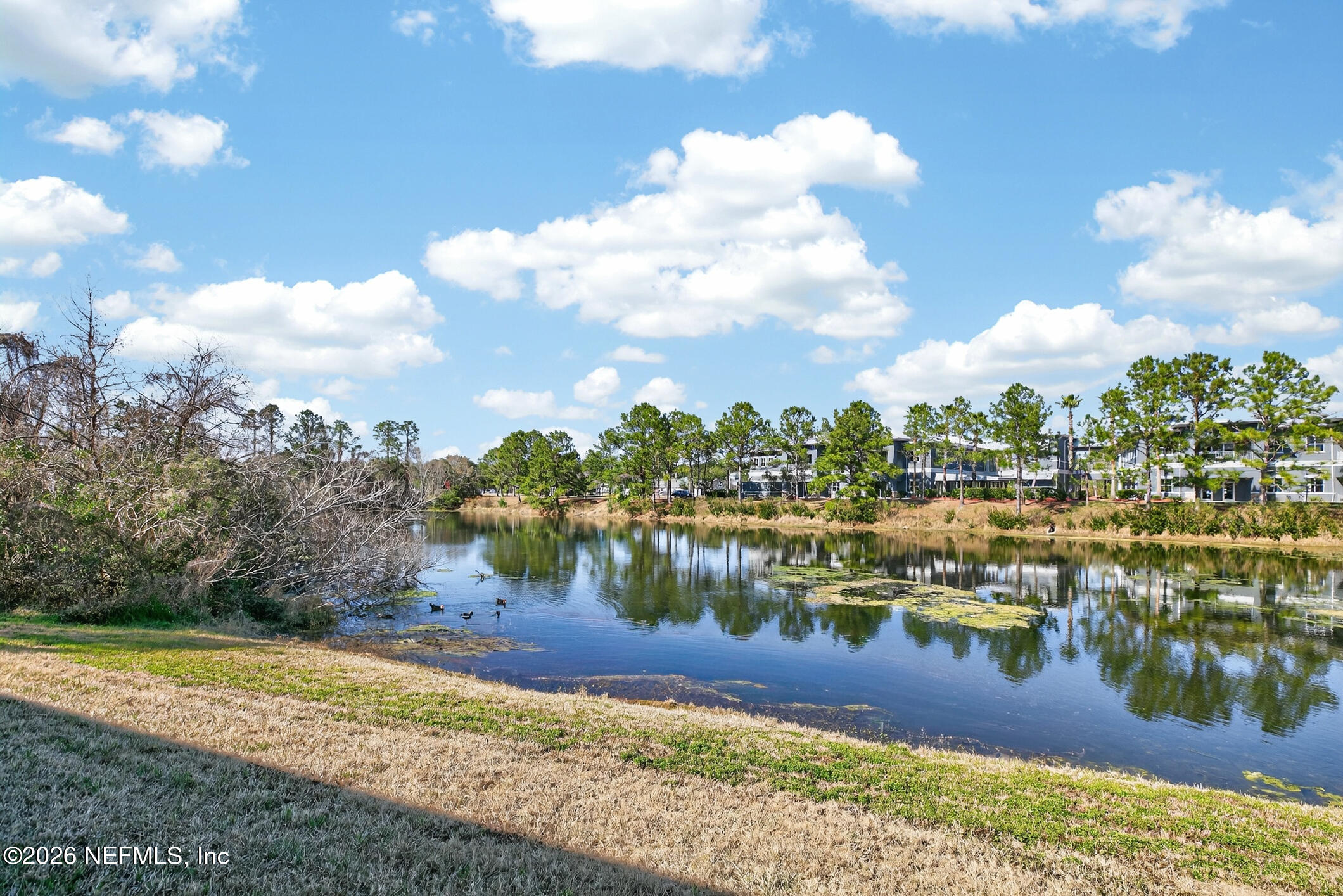 1500 Calming Water Drive, Unit 4603 Fleming Island, FL 32003 - Photo 49 of 98 a view of a lake with houses