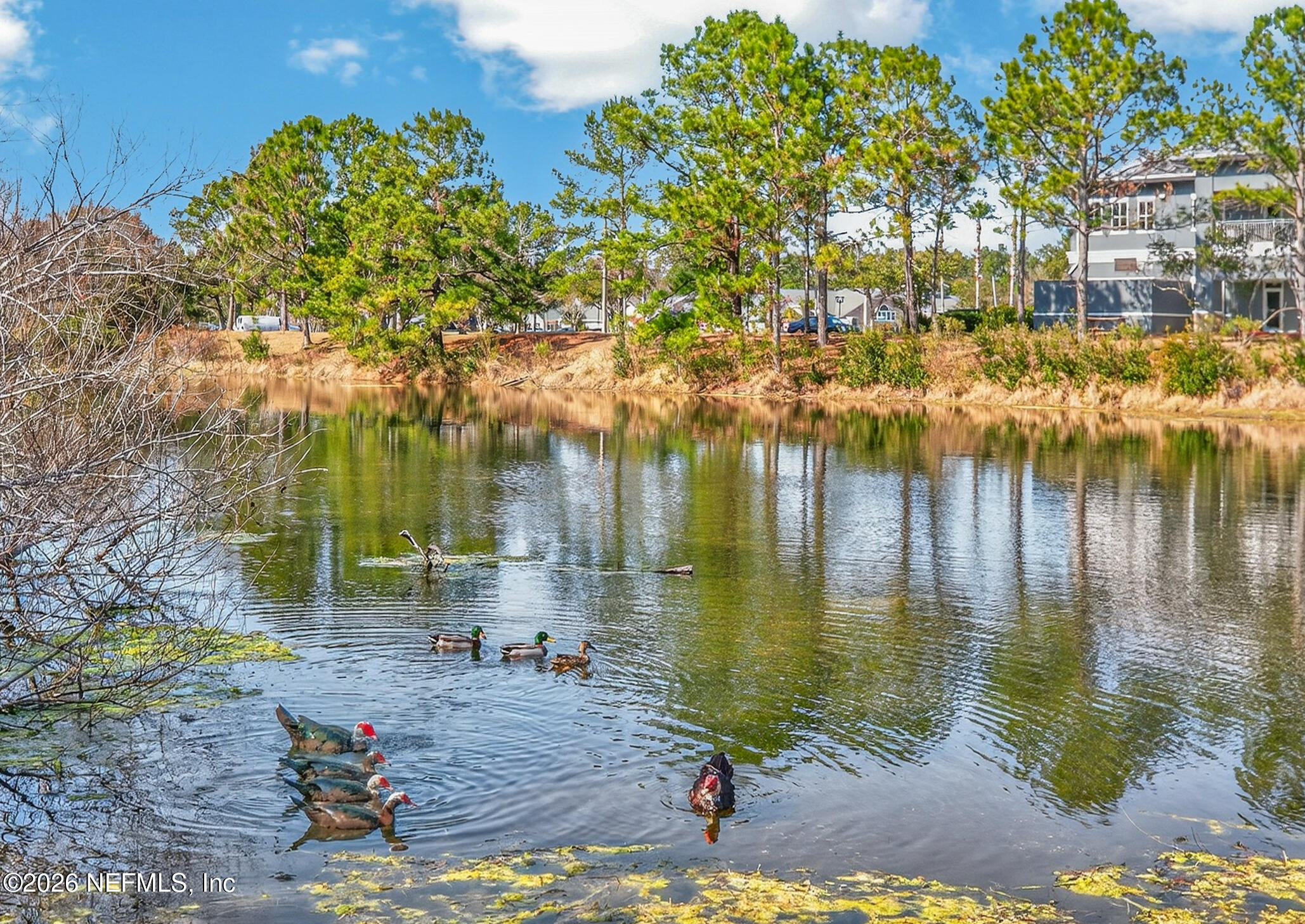 1500 Calming Water Drive, Unit 4603 Fleming Island, FL 32003 - Photo 55 of 98 1500 Calming Water Dr Unit 4603 (53)