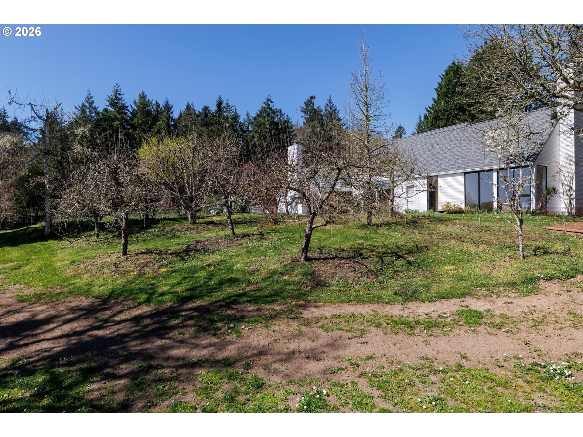 3251 Southwest Redmond Hill Road McMinnville, OR 97128 - Photo 38 of 46 a backyard of a house with lots of green space
