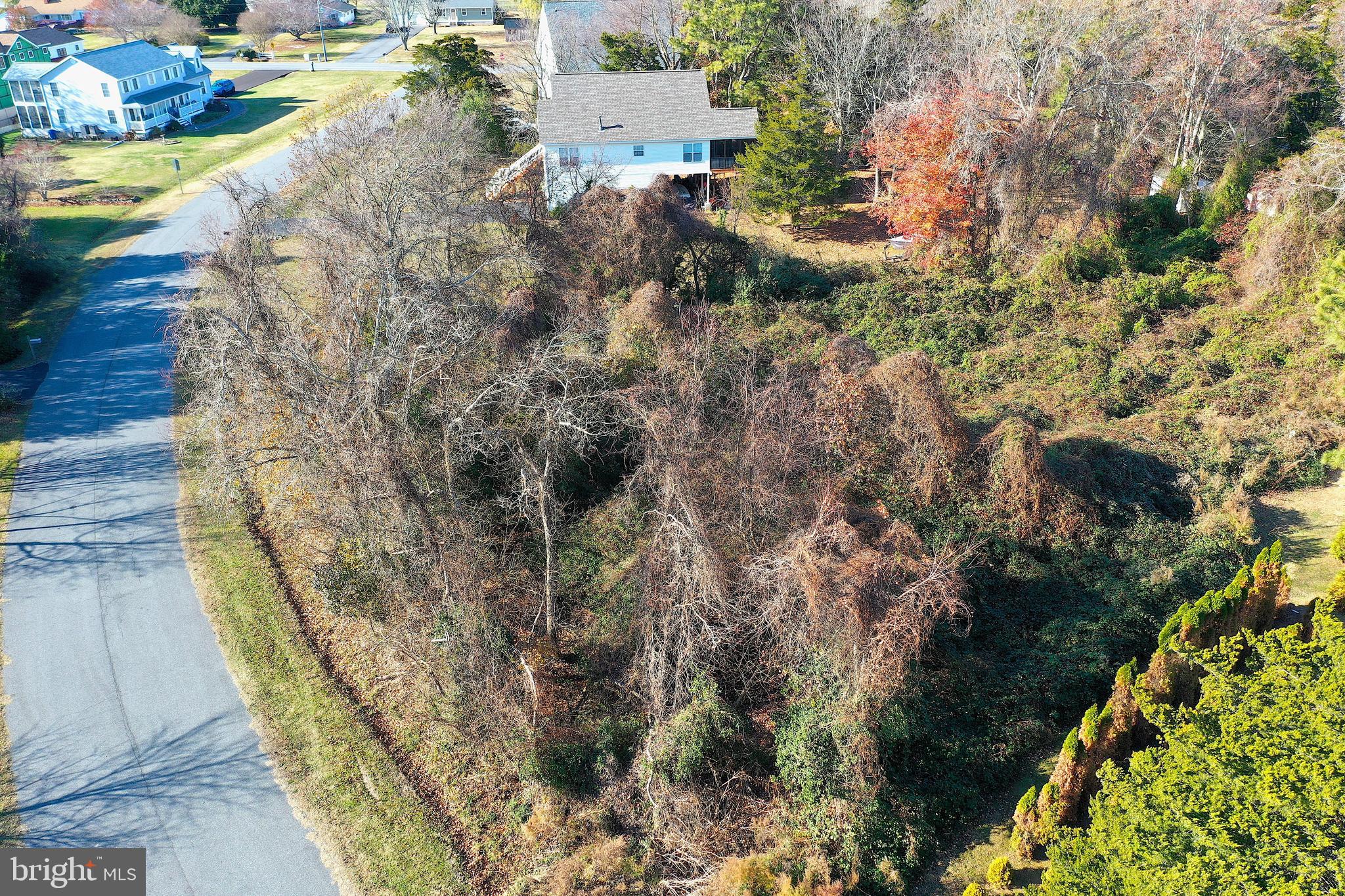 11419 Fox Run Berlin, MD 21811 - Photo 29 of 29