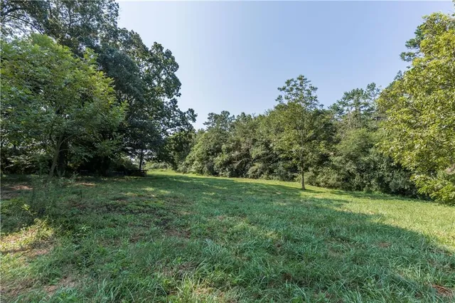 a garden with trees in the background