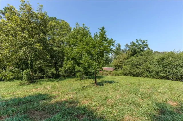 a backyard of a house with lots of green space