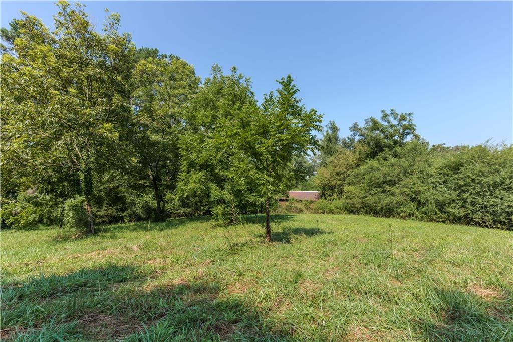 933 Alto-Mud Creek Road Alto, GA 30510 - Photo 37 of 41 a garden with trees in the background