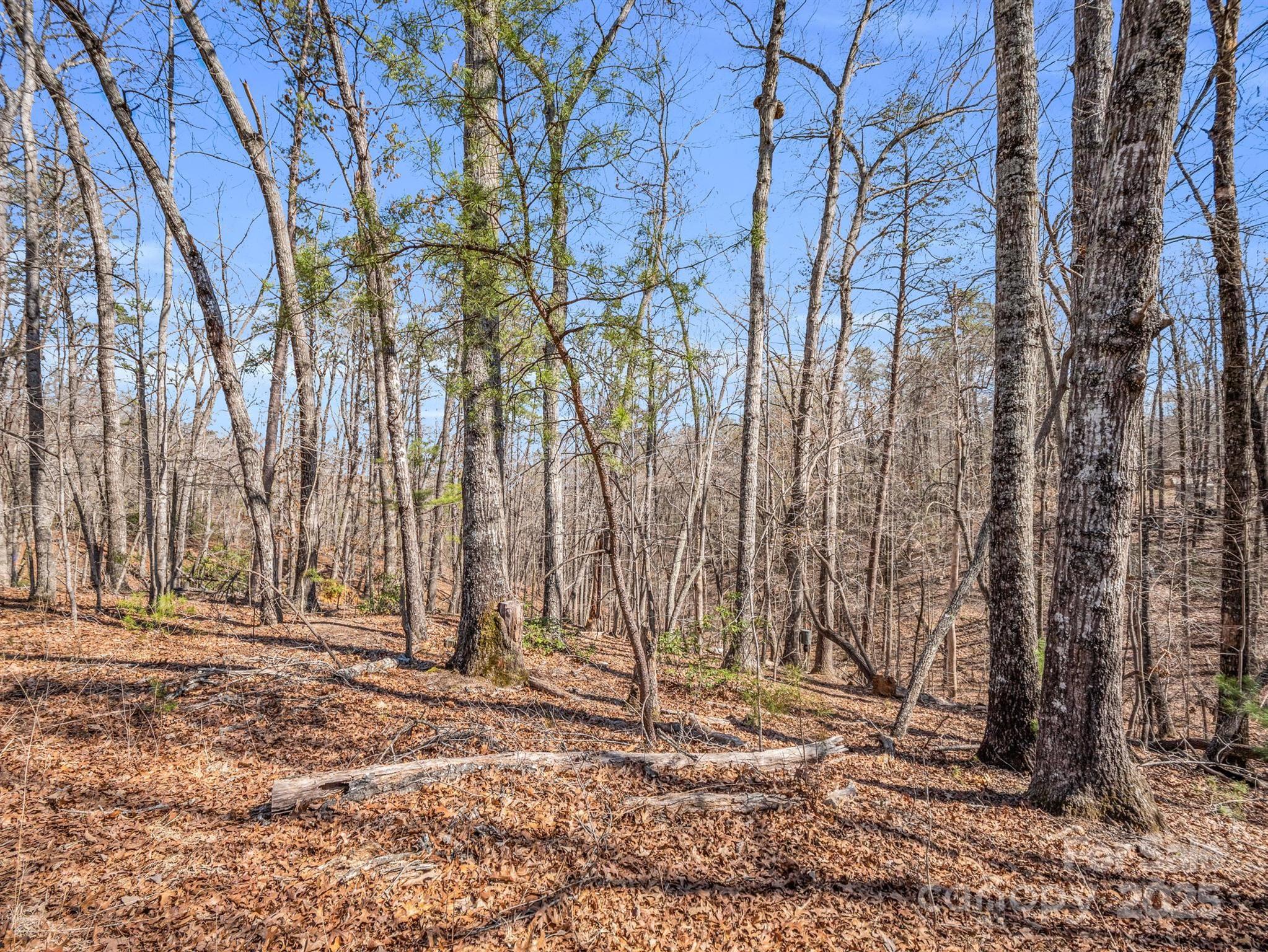 0 Forester Lane, Unit 24 Mill Spring, NC 28756 - Photo 7 of 19 a backyard of a house with lots of green space