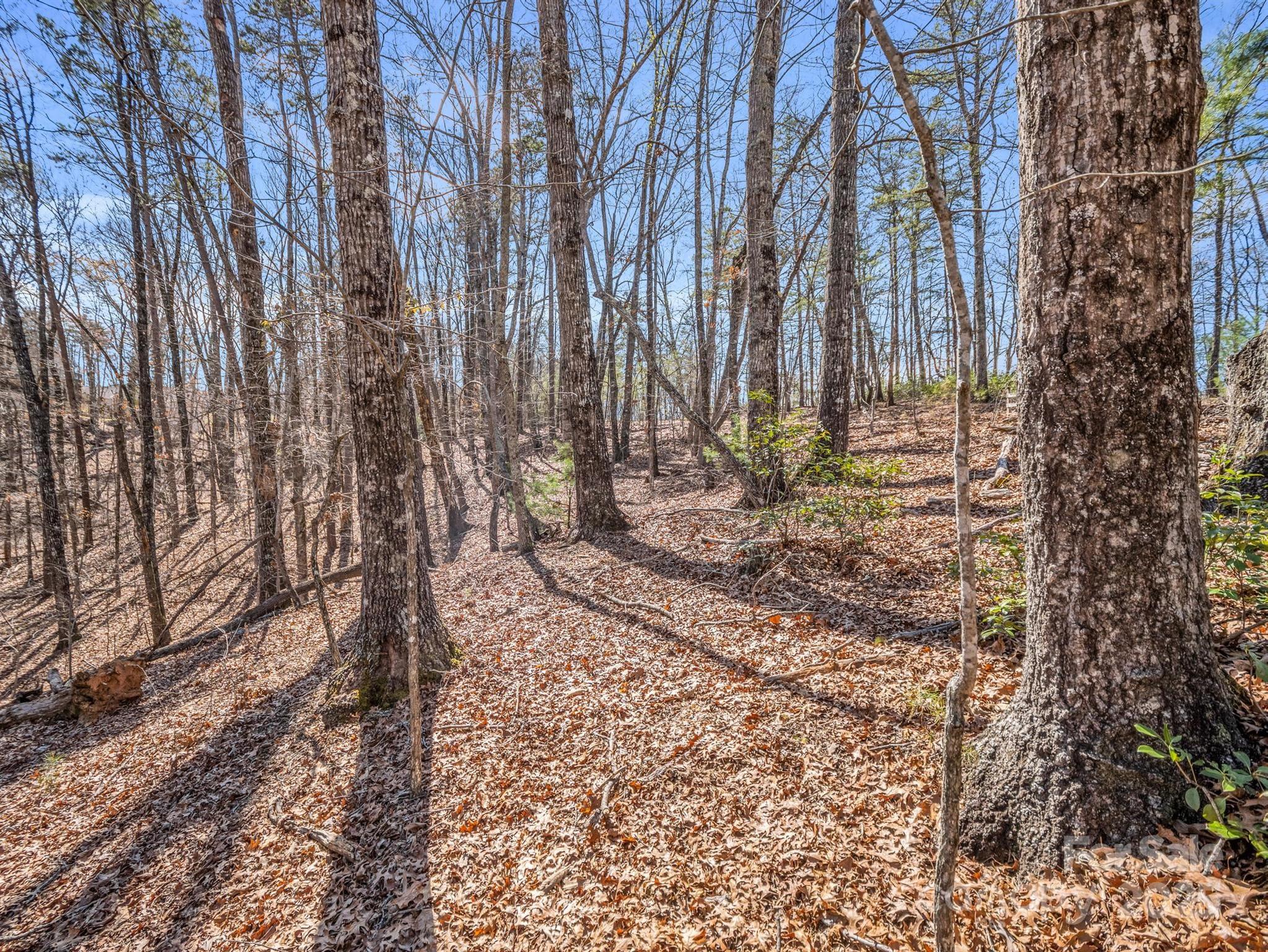 0 Forester Lane, Unit 24 Mill Spring, NC 28756 - Photo 10 of 19 a view of a backyard of the house
