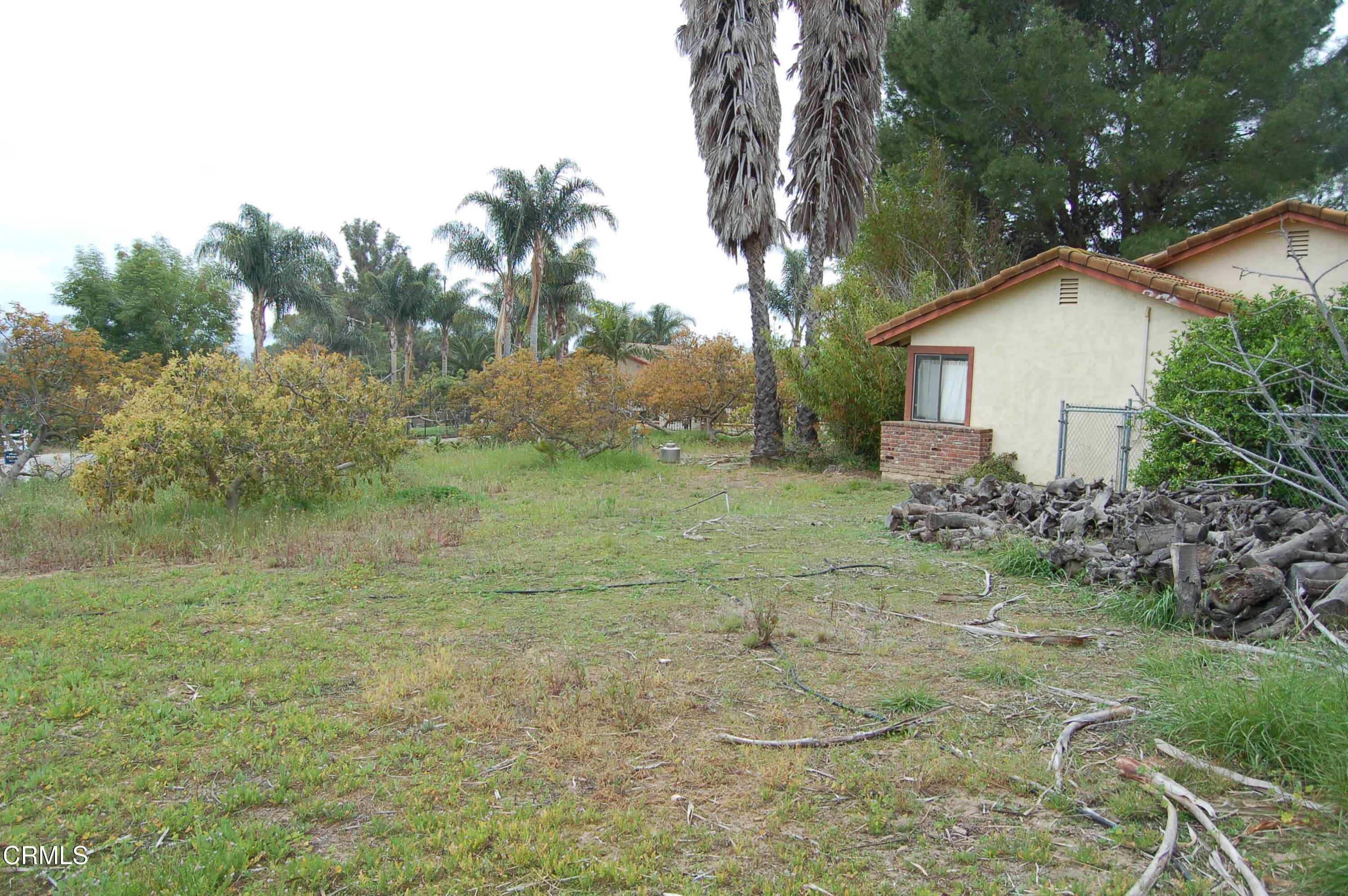 5641 La Cumbre Road Somis, CA 93066 - Photo 9 of 20 DSC_0601