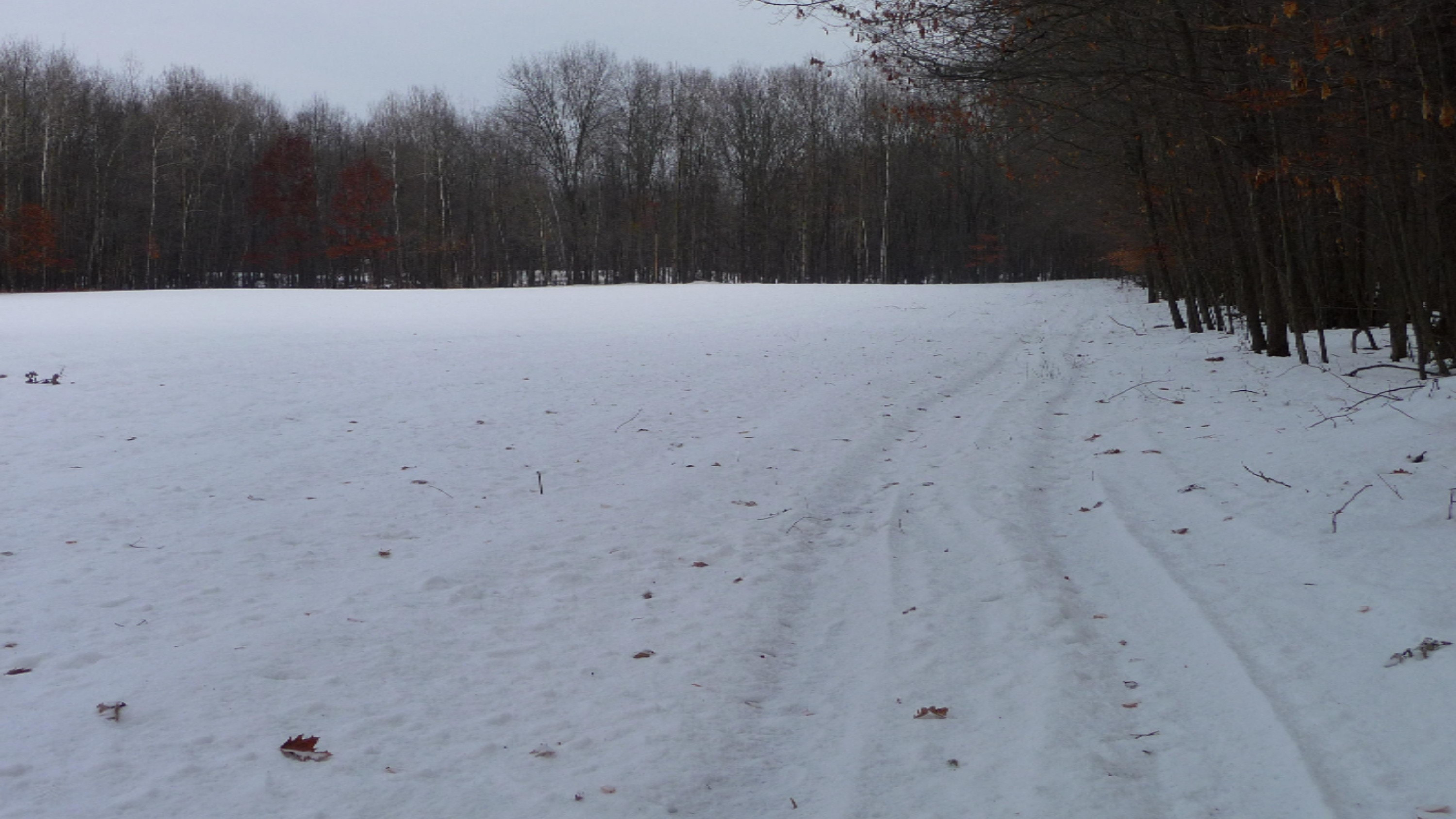 6474 Johnson Road Lakeview, MI 48850 - Photo 58 of 68 P1020421