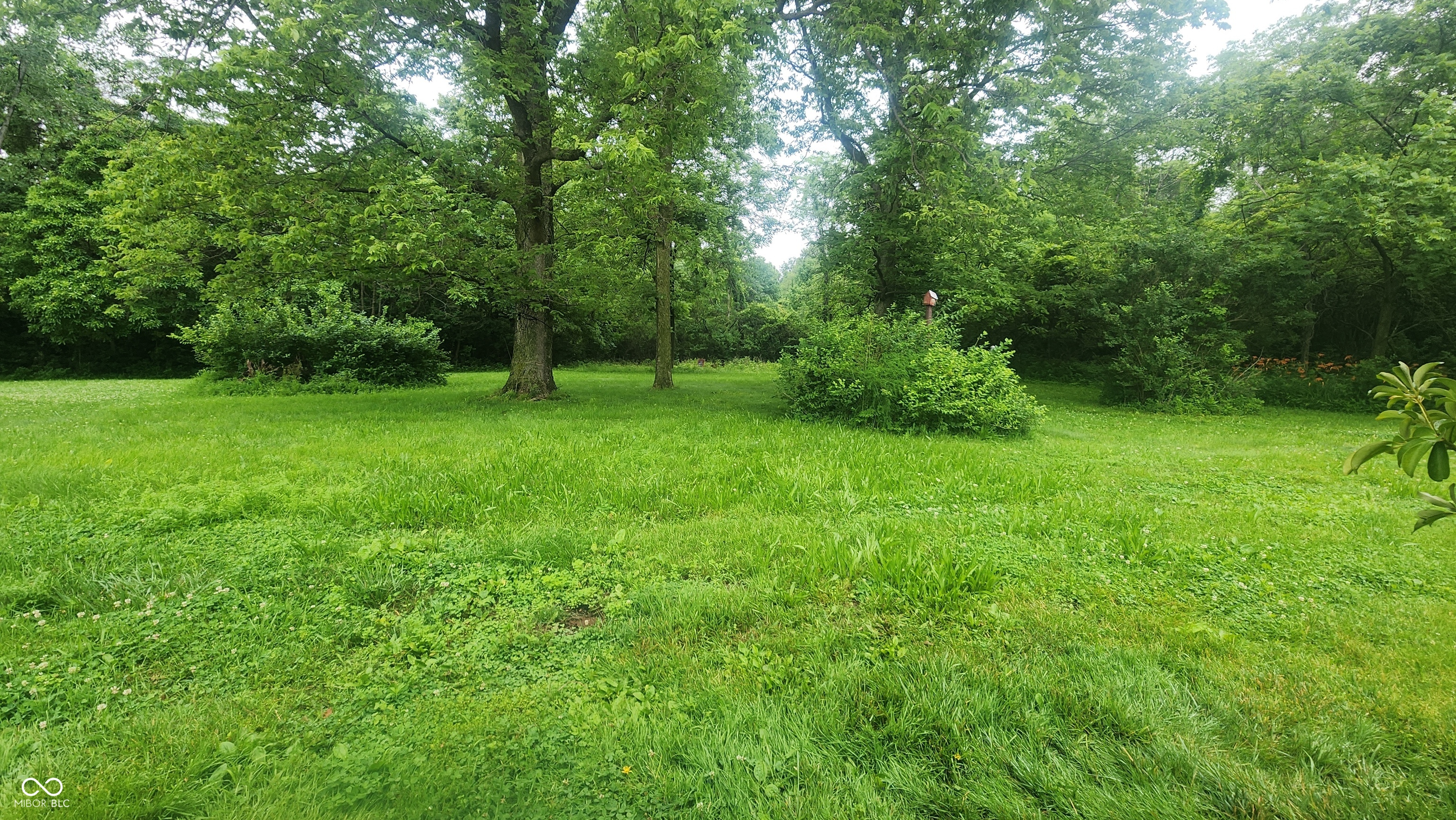 92 East Trestle Road Veedersburg, IN 47987 - Photo 12 of 40