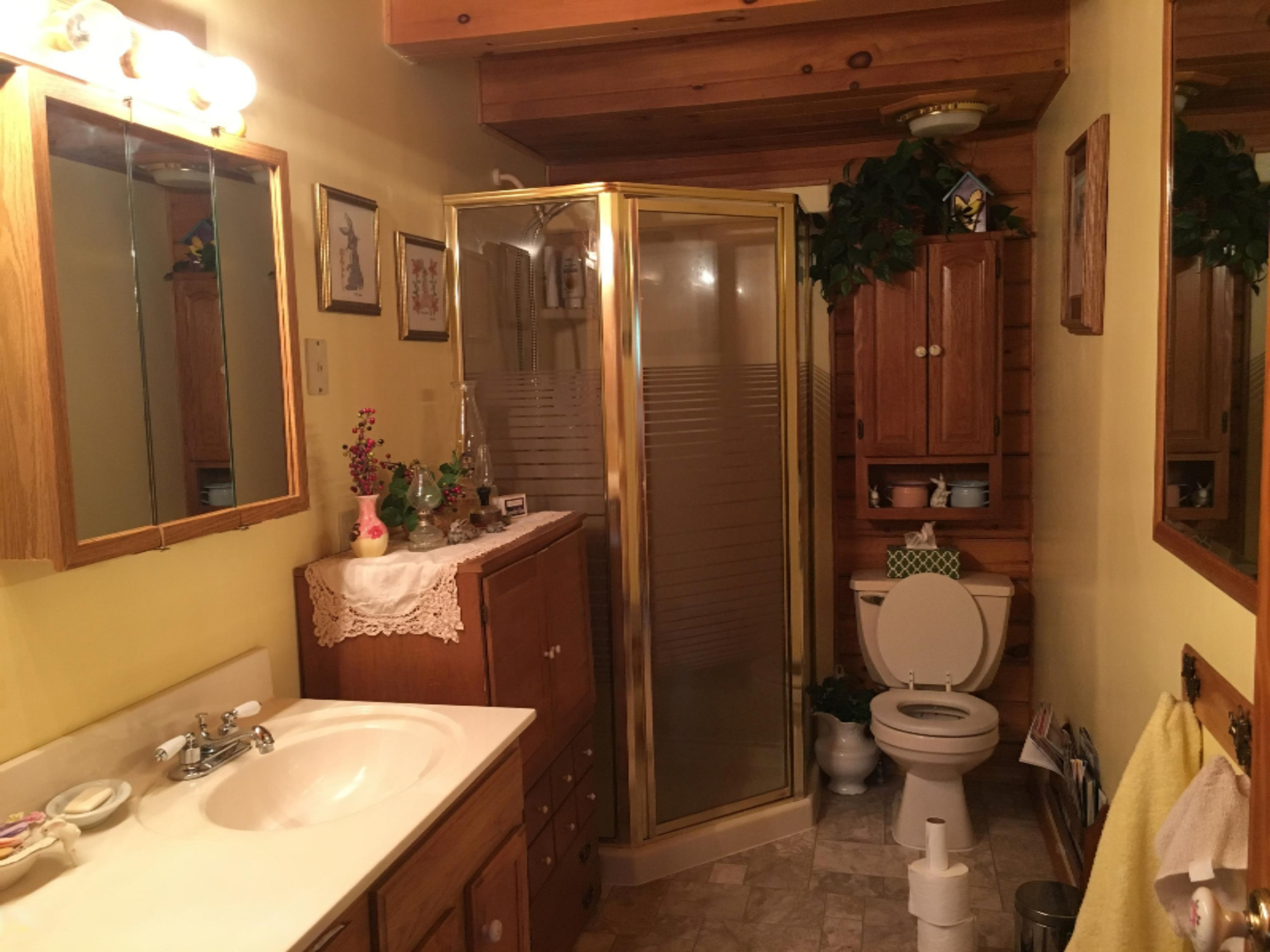 5105 East High Tower Lake Road Hesperia, MI 49421 - Photo 17 of 28 Bathroom