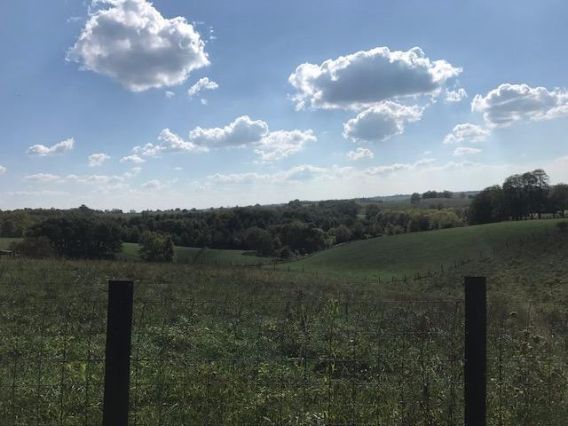 1180 Gillispie Road Mount Sterling, KY 40353 - Photo 1 of 5 Photo 1