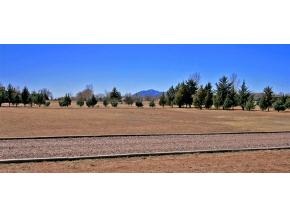 2375 North Reed Road, Unit 1 Chino Valley, AZ 86323 - Photo 9 of 9 a view of a yard with a ocean view